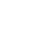 Neon EVM logo
